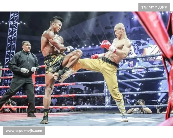 舍甫琴科以泰拳经验为武器迎战张伟丽巅峰对决