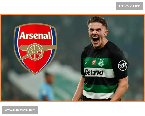 阿森纳1-0客胜埃弗顿锁定圣诞冠军，哲凯赖什点射制胜